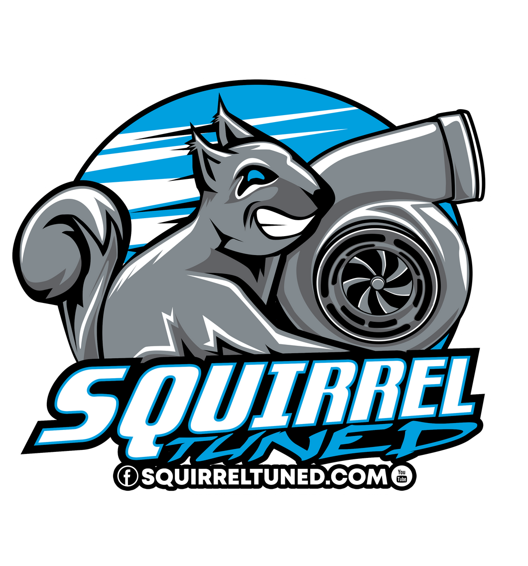 Squirrel Tuned Sticker